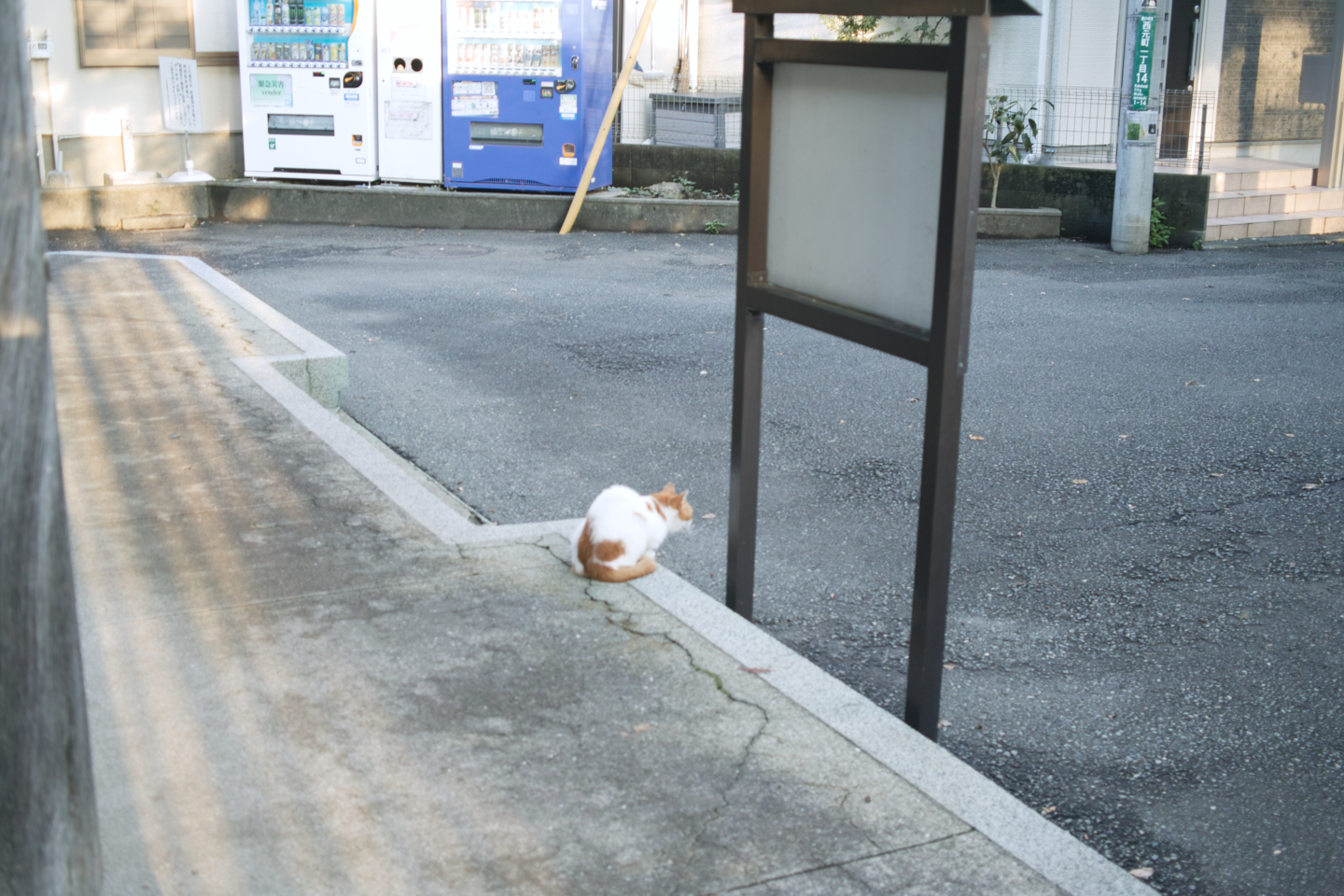 Kokubunji_Img