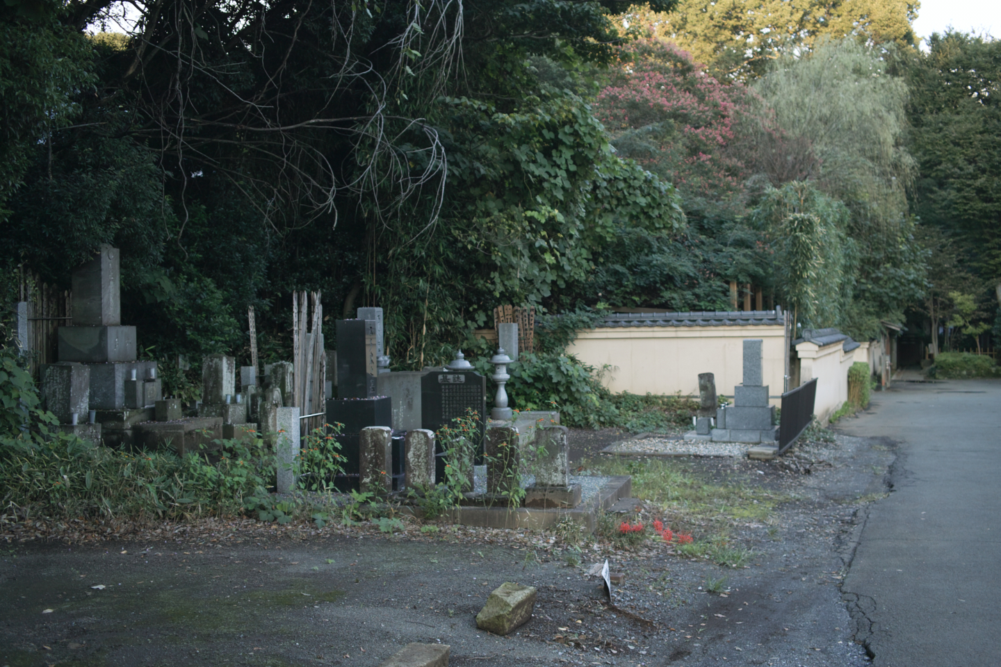 Kokubunji_Img