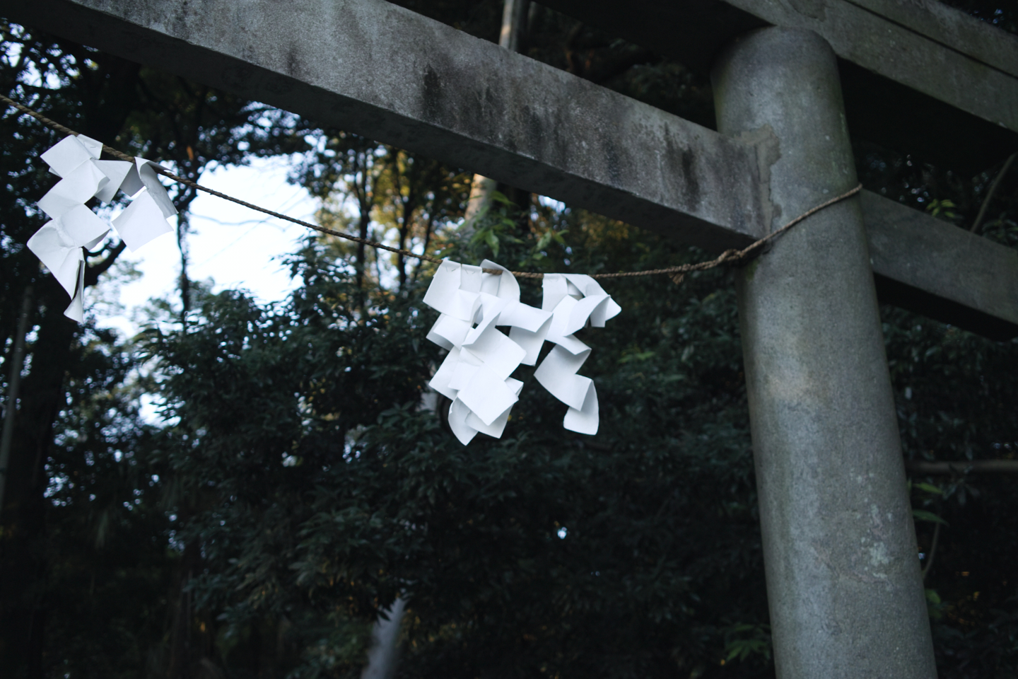 Kokubunji_Img