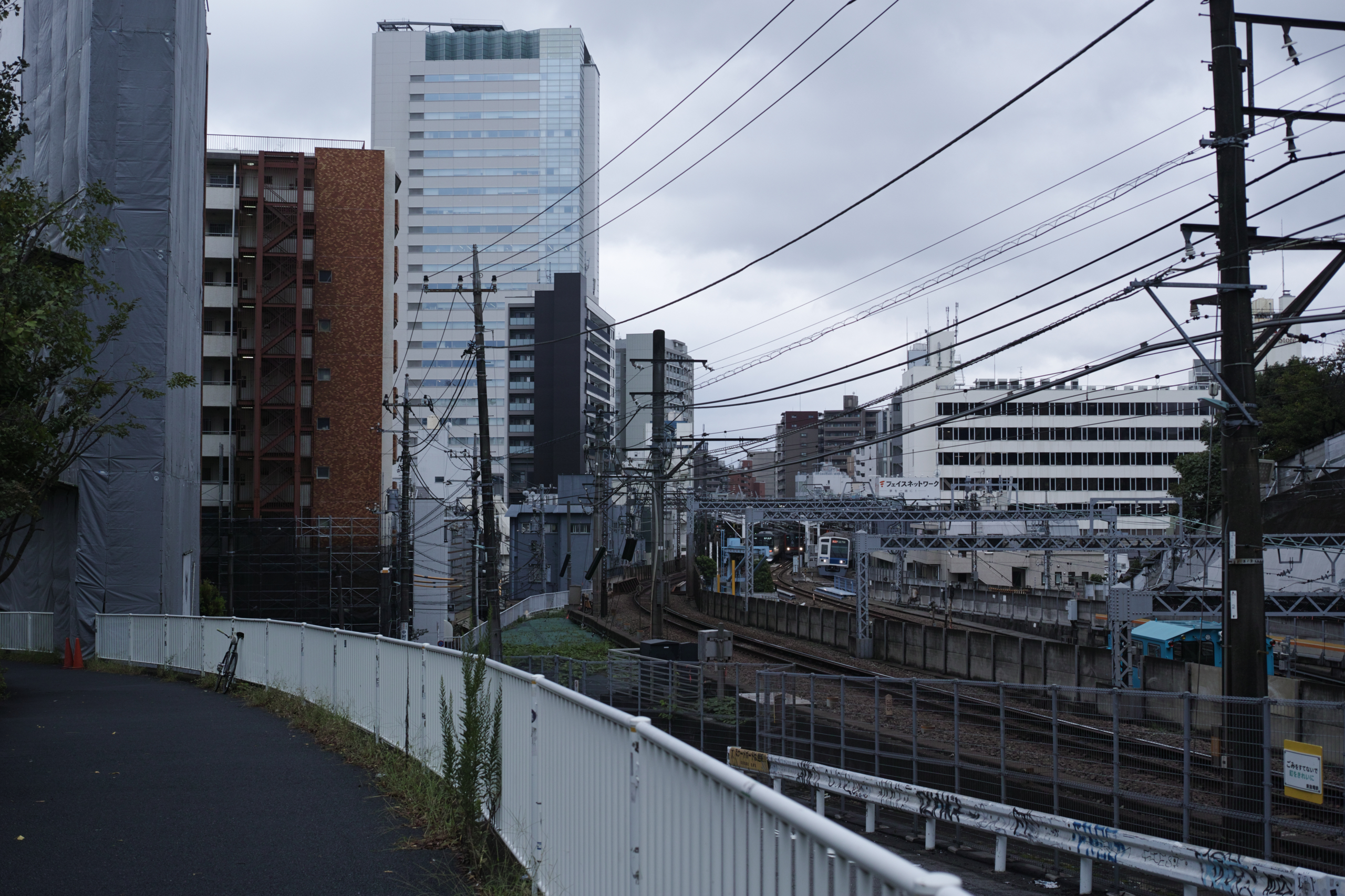 Ebisu, Nakameguro, Yutenji, Shibuya, Yoyogi_Img