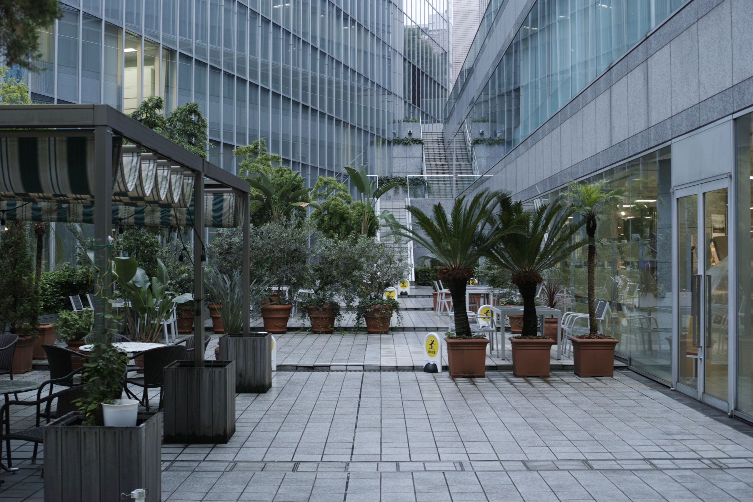 Ebisu, Nakameguro, Yutenji, Shibuya, Yoyogi_Img