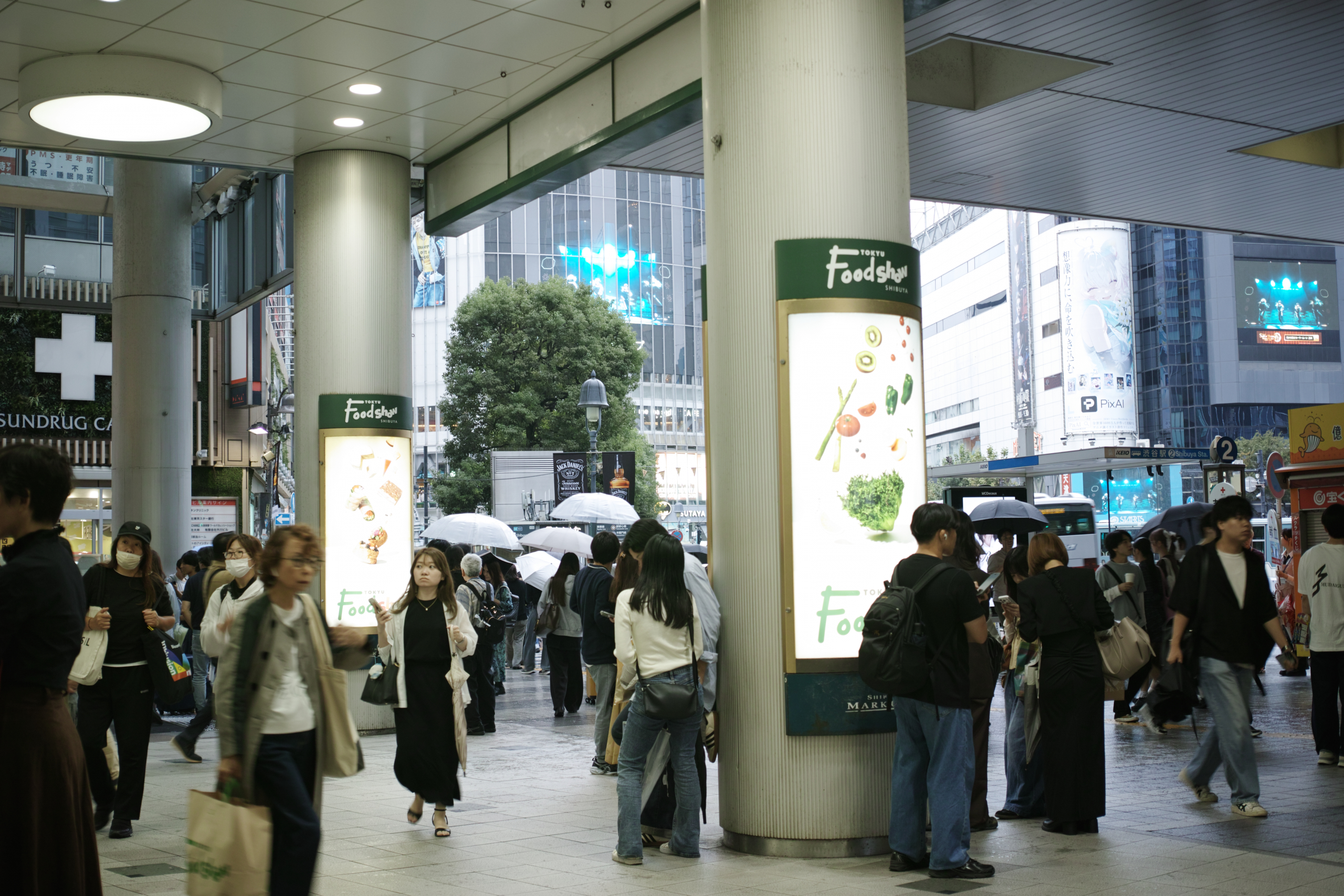 Ebisu, Nakameguro, Yutenji, Shibuya, Yoyogi_Img