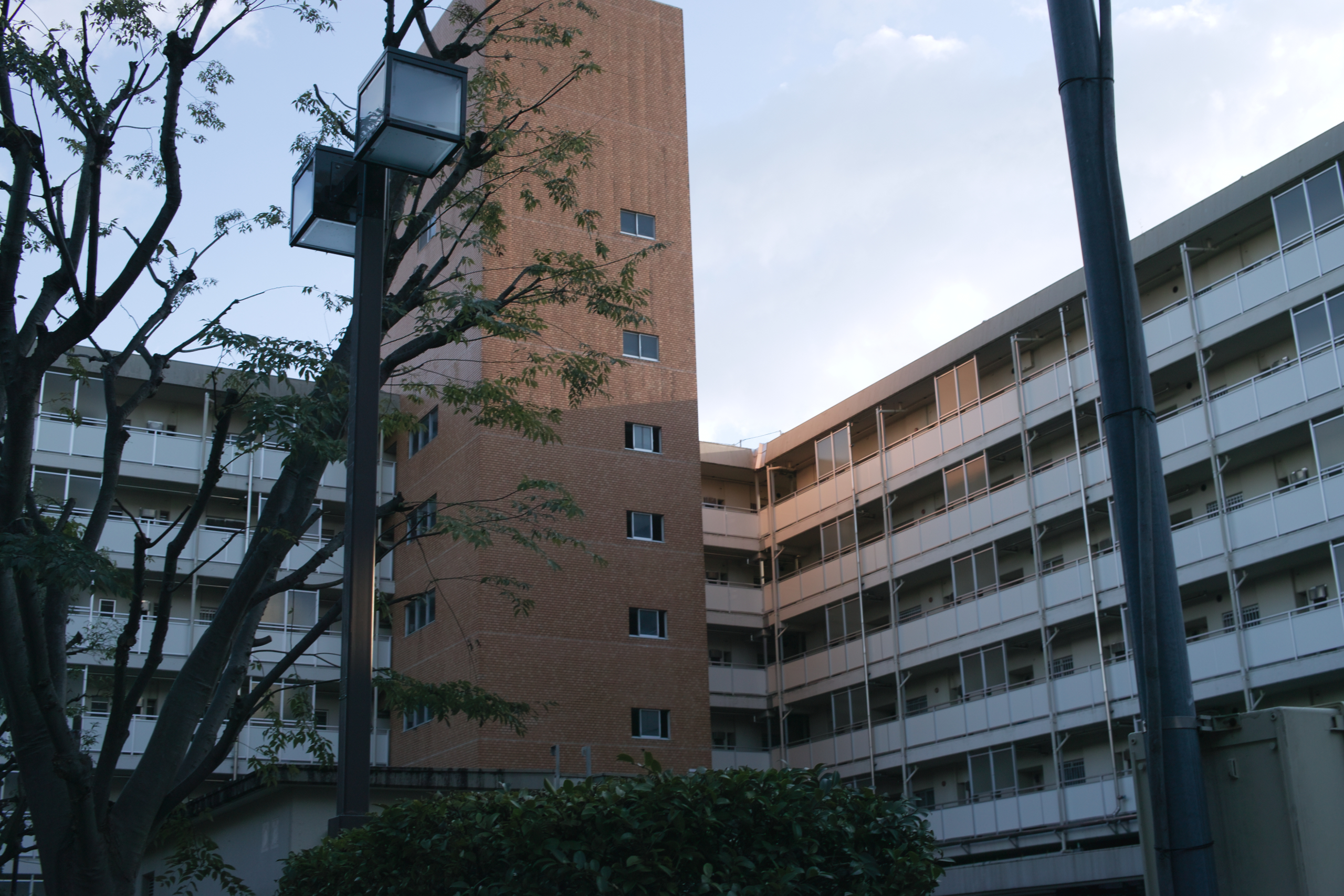 Kokubunji_Img