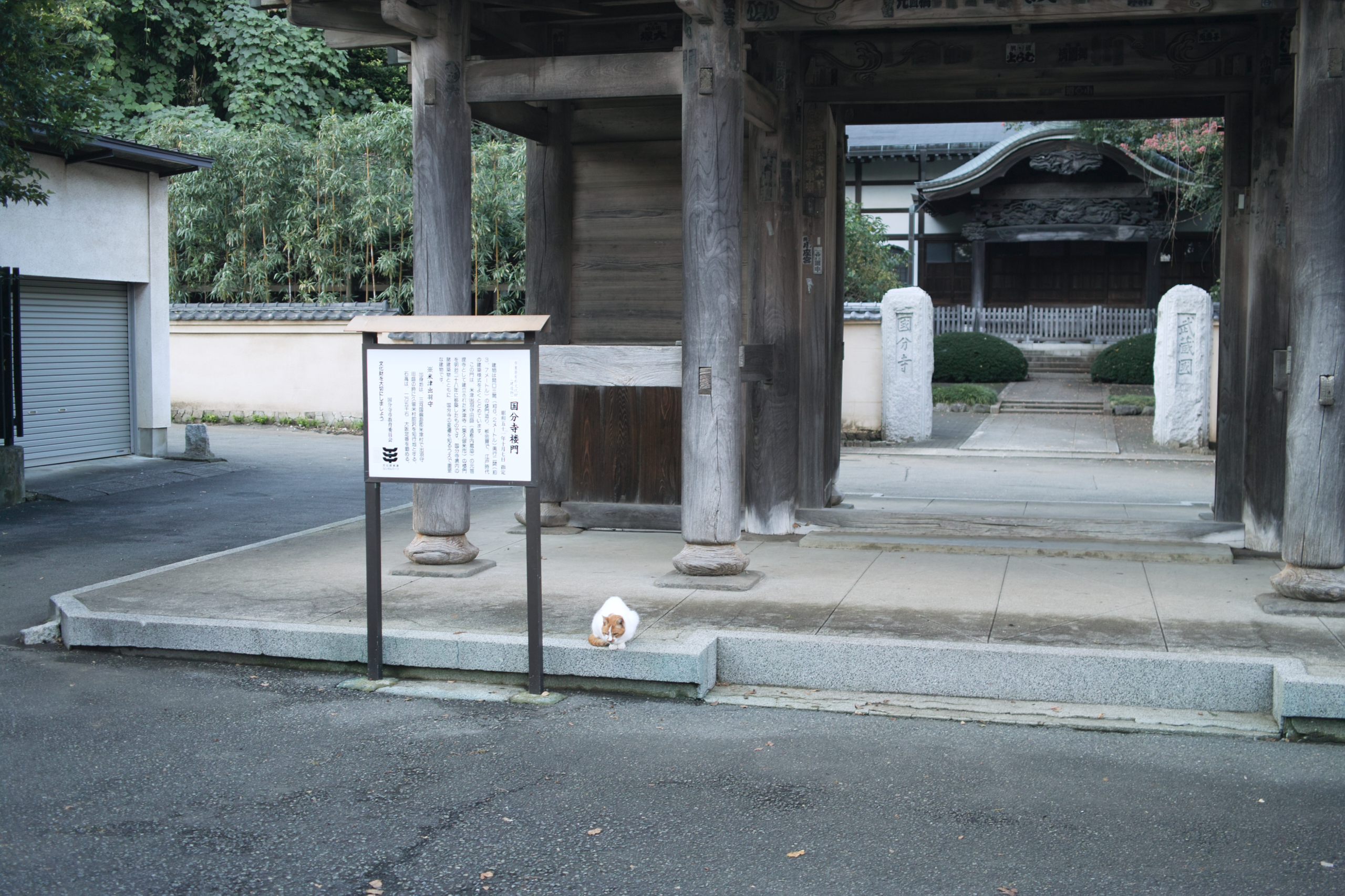 Kokubunji_Img