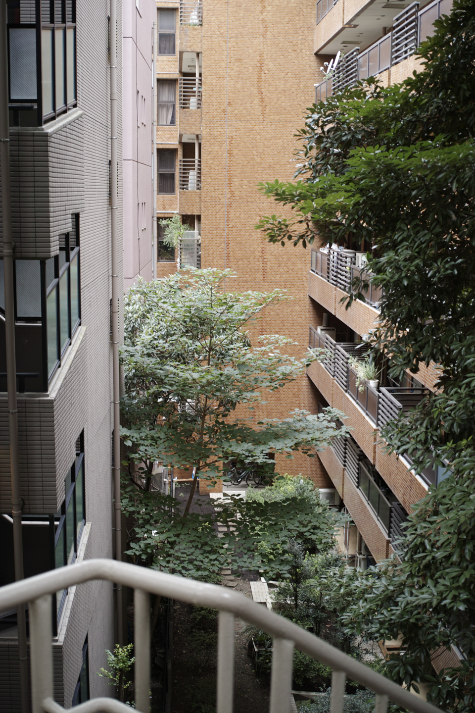 Yaesu, Toranomon, Roppongi, Shibuya_Img