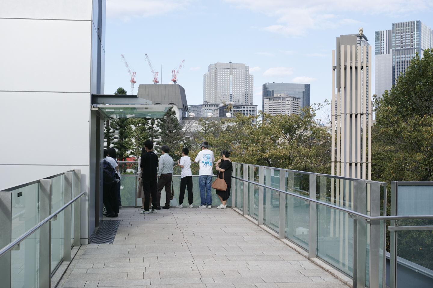 Yaesu, Toranomon, Roppongi, Shibuya_Img