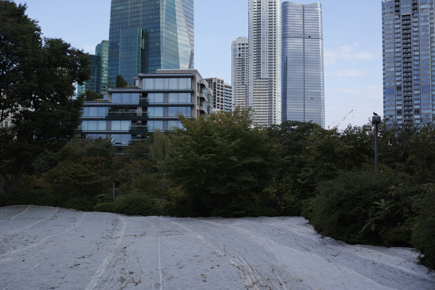 Yaesu, Toranomon, Roppongi, Shibuya_Img