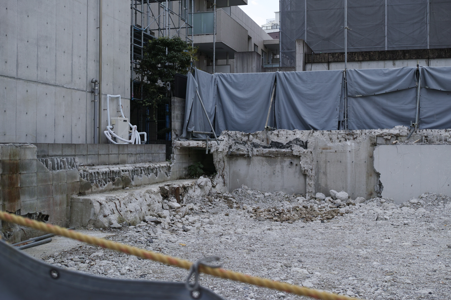 Yaesu, Toranomon, Roppongi, Shibuya_Img