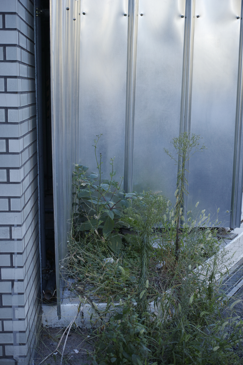 Yaesu, Toranomon, Roppongi, Shibuya_Img