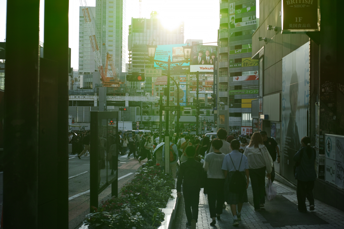 Yaesu, Toranomon, Roppongi, Shibuya_Img