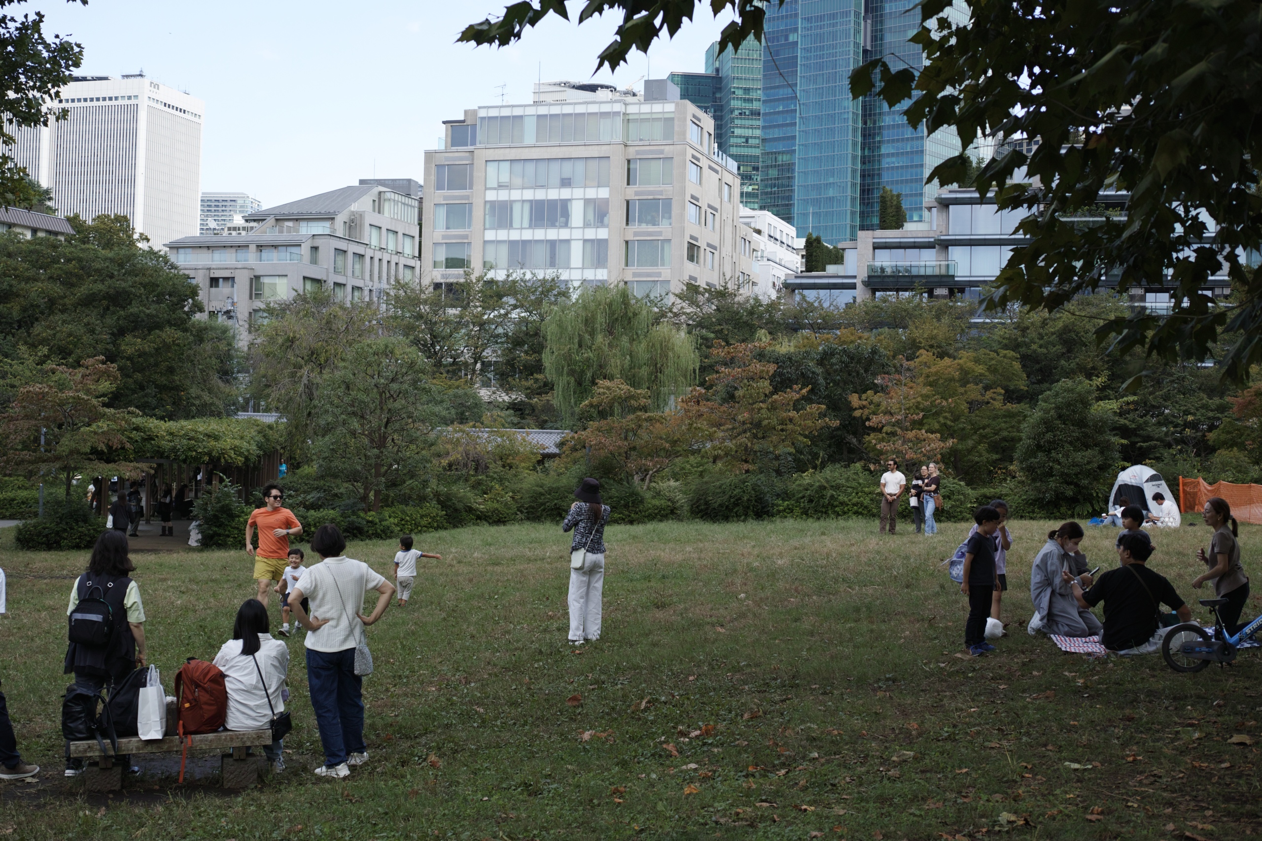 Yaesu, Toranomon, Roppongi, Shibuya_Img