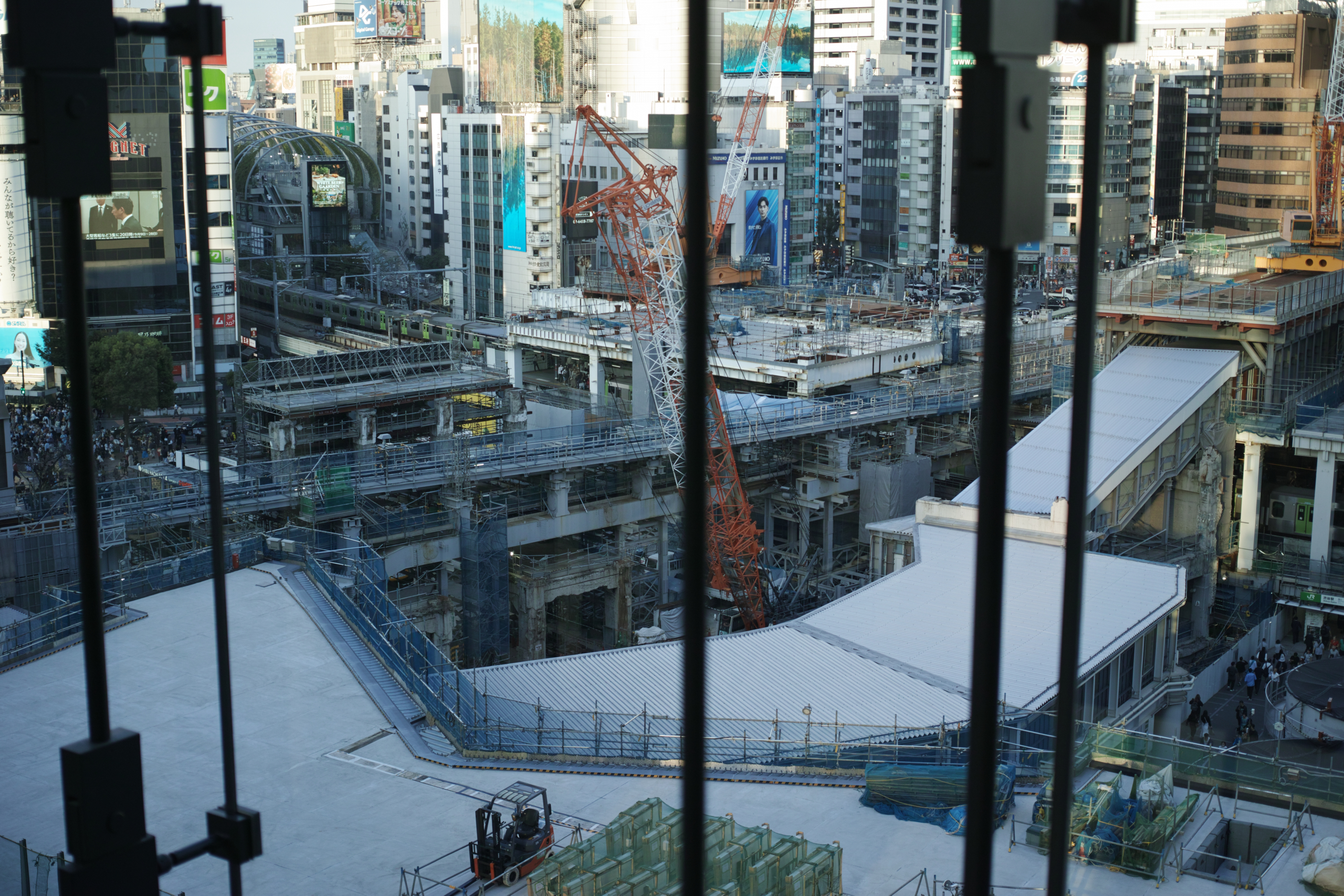 Yaesu, Toranomon, Roppongi, Shibuya_Img